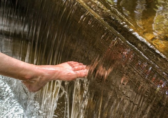 艾叶泡脚的方法-用艾草泡脚时，要记住禁忌哪些，很多人不懂，总是泡错？
